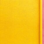 Color Analysis Types